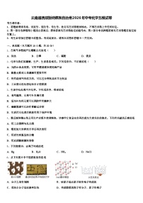云南省西双版纳傣族自治州2026年中考化学五模试卷（含答案解析）