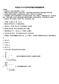 平顶山市2026年中考化学最后冲刺浓缩精华卷（含答案解析）