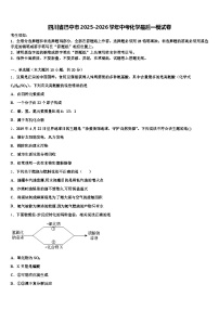 四川省巴中市2025-2026学年中考化学最后一模试卷（含答案解析）