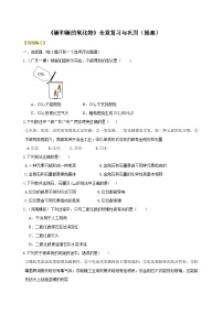九年级上学期化学巩固练习——《碳和碳的氧化物》全章复习与巩固提高版（含答案）