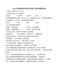 2026年河南省郑州市部分学校中考模拟化学自编卷含答案