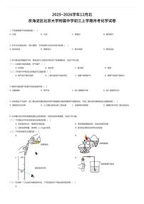 2025~2026学年12月北京海淀区北京大学附属中学初三上学期月考化学试卷（有答案解析）