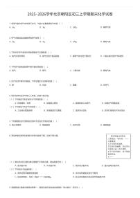 2025~2026学年北京朝阳区初三上学期期末化学试卷（有答案解析）
