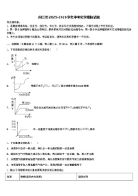 内江市2025-2026学年中考化学模拟试题（含答案解析）