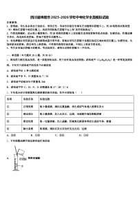 四川省绵阳市2025-2026学年中考化学全真模拟试题（含答案解析）