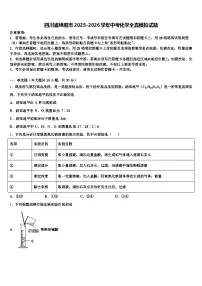 四川省绵阳市2025-2026学年中考化学全真模拟试题（含答案解析）