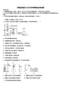 甘肃省武威市2026年中考押题化学预测卷（含答案解析）