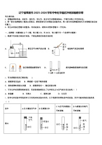 辽宁省阜新市2025-2026学年中考化学最后冲刺浓缩精华卷（含答案解析）