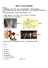 阜阳市2026年中考三模化学试题（含答案解析）