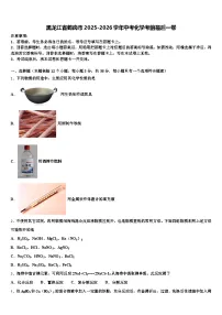 黑龙江省鹤岗市2025-2026学年中考化学考前最后一卷（含答案解析）
