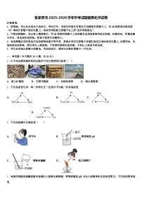 张家界市2025-2026学年中考试题猜想化学试卷（含答案解析）