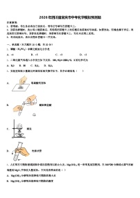 2026年四川省宜宾市中考化学模拟预测题（含答案解析）
