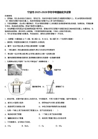 宁波市2025-2026学年中考猜题化学试卷（含答案解析）