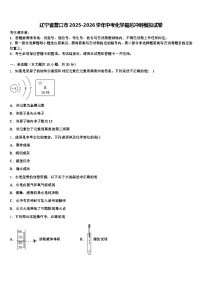 辽宁省营口市2025-2026学年中考化学最后冲刺模拟试卷（含答案解析）