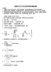 辽阳市2025-2026学年中考化学模拟试题（含答案解析）