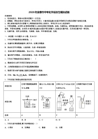 2026年宜春市中考化学适应性模拟试题（含答案解析）