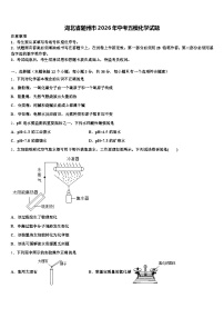 湖北省随州市2026年中考五模化学试题（含答案解析）