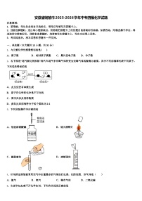 安徽省铜陵市2025-2026学年中考四模化学试题（含答案解析）