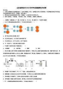 山东省青岛市2026年中考试题猜想化学试卷（含答案解析）