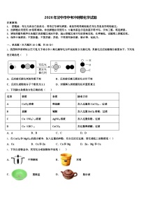 2026年汉中市中考冲刺卷化学试题（含答案解析）
