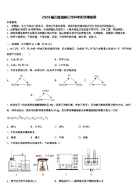 2026届云南省丽江市中考化学押题卷（含答案解析）