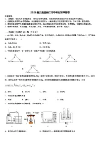 2026届云南省丽江市中考化学押题卷（含答案解析）