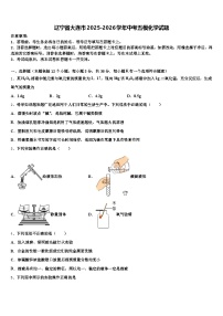 辽宁省大连市2025-2026学年中考五模化学试题（含答案解析）