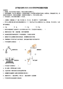 辽宁省大连市2025-2026学年中考五模化学试题（含答案解析）