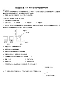 辽宁省丹东市2025-2026学年中考猜题化学试卷（含答案解析）