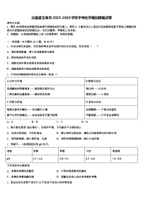 云南省玉溪市2025-2026学年中考化学模拟精编试卷（含答案解析）