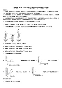 常州市2025-2026学年初中化学毕业考试模拟冲刺卷（含答案解析）