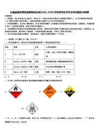 云南省德宏傣族景颇族自治州2025-2026学年初中化学毕业考试模拟冲刺卷（含答案解析）