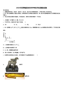 2026年甘肃省嘉峪关市中考化学全真模拟试题（含答案解析）