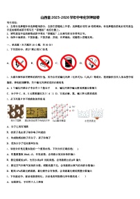 山西省2025-2026学年中考化学押题卷（含答案解析）
