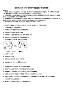 宜宾市2025-2026学年中考考前最后一卷化学试卷（含答案解析）