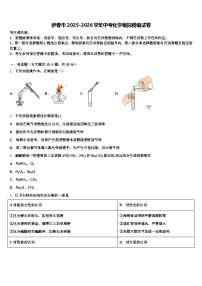 伊春市2025-2026学年中考化学模拟精编试卷（含答案解析）