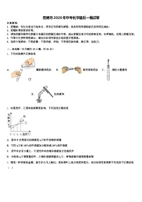 昆明市2026年中考化学最后一模试卷（含答案解析）