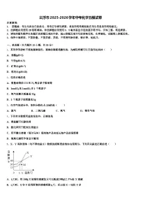 云浮市2025-2026学年中考化学五模试卷（含答案解析）
