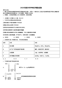 2026年新乡市中考化学模拟试题（含答案解析）