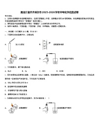 黑龙江省齐齐哈尔市2025-2026学年中考化学仿真试卷（含答案解析）