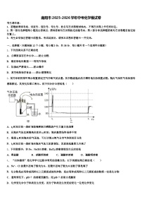 南阳市2025-2026学年中考化学模试卷（含答案解析）