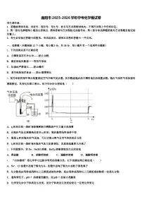 南阳市2025-2026学年中考化学模试卷（含答案解析）