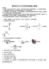 葫芦岛市2025-2026学年中考化学最后一模试卷（含答案解析）