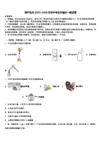 葫芦岛市2025-2026学年中考化学最后一模试卷（含答案解析）