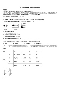 2026年安顺市中考联考化学试题（含答案解析）
