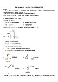 宁夏回族自治区2026年中考化学模拟预测试卷（含答案解析）
