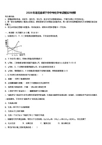 2026年湖北省咸宁市中考化学考试模拟冲刺卷（含答案解析）