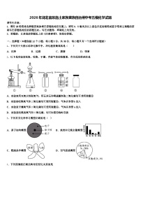 2026年湖北省恩施土家族苗族自治州中考五模化学试题（含答案解析）