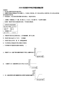 2026年洛阳市中考化学模拟精编试卷（含答案解析）