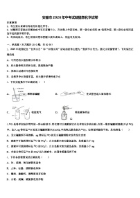 安顺市2026年中考试题猜想化学试卷（含答案解析）